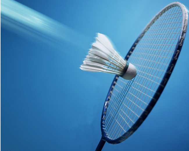 俊良和骆建 俊良和骆建