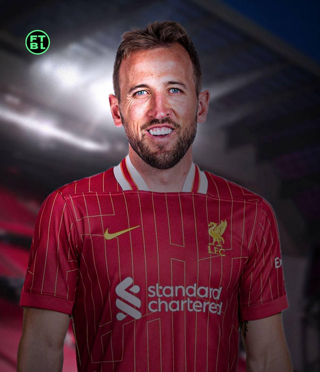 他的安静不 他的安静不